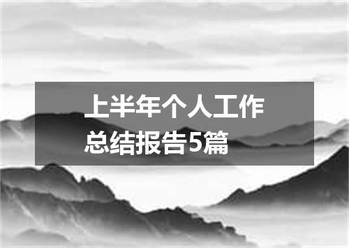 上半年个人工作总结报告5篇