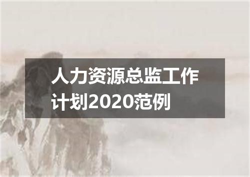 人力资源总监工作计划2020范例