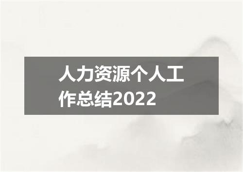 人力资源个人工作总结2022