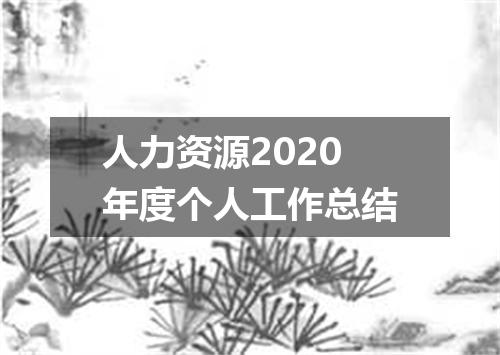 人力资源2020年度个人工作总结