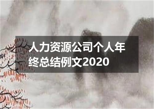 人力资源公司个人年终总结例文2020