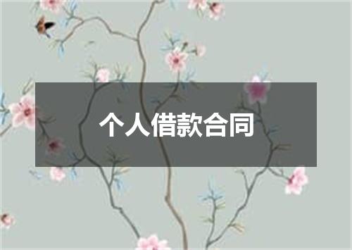 个人借款合同