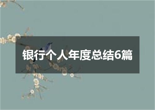 银行个人年度总结6篇