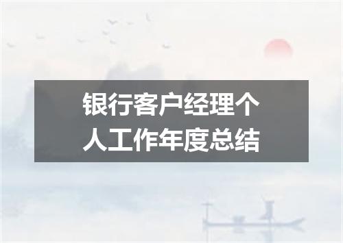 银行客户经理个人工作年度总结