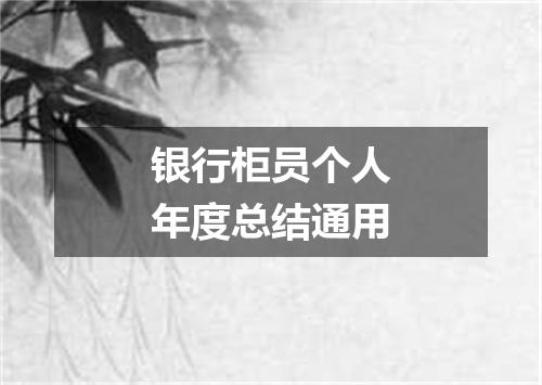银行柜员个人年度总结通用
