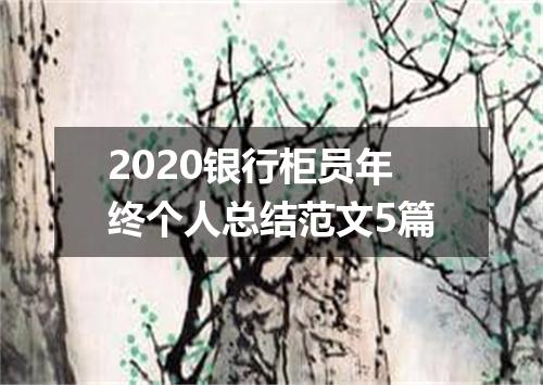 2020银行柜员年终个人总结范文5篇