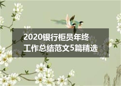 2020银行柜员年终工作总结范文5篇精选