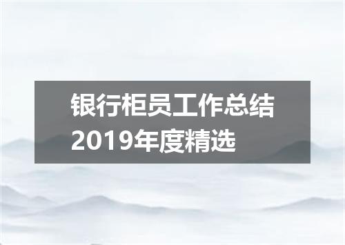 银行柜员工作总结2019年度精选