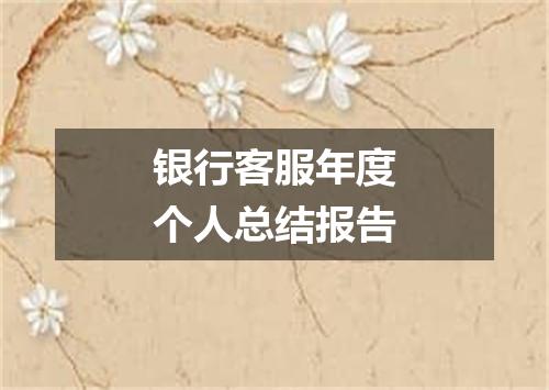 银行客服年度个人总结报告