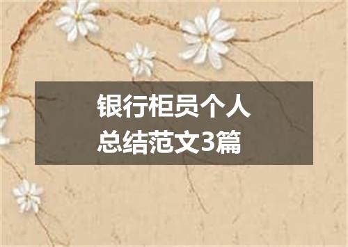 银行柜员个人总结范文3篇