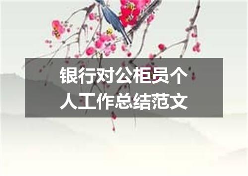 银行对公柜员个人工作总结范文