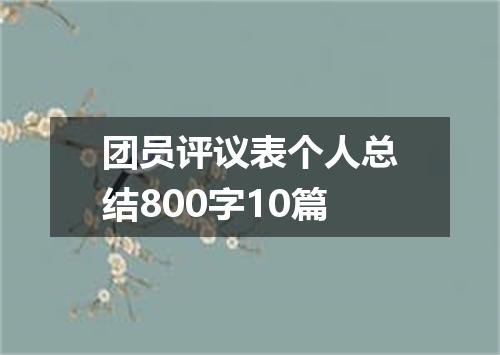 团员评议表个人总结800字10篇