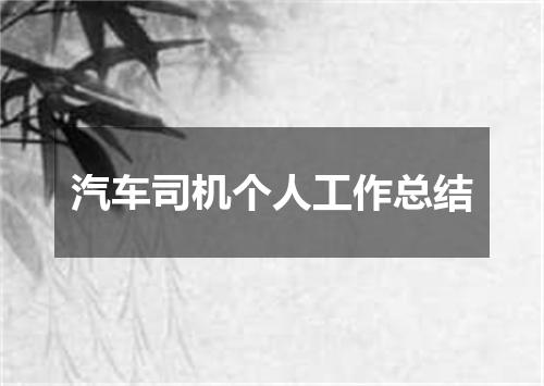 汽车司机个人工作总结