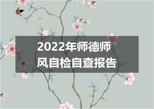 2022年师德师风自检自查报告