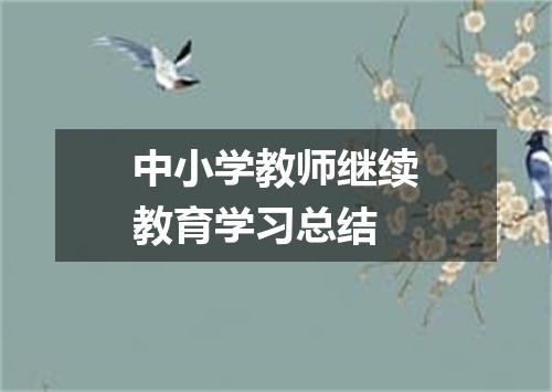 中小学教师继续教育学习总结
