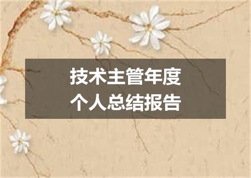 技术主管年度个人总结报告