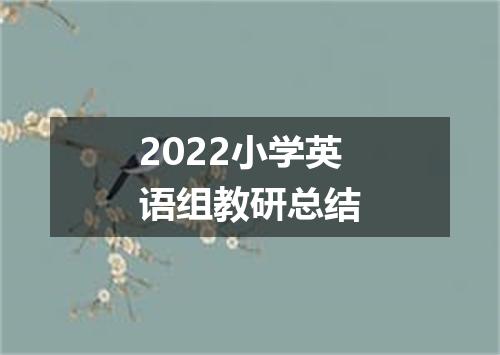 2022小学英语组教研总结