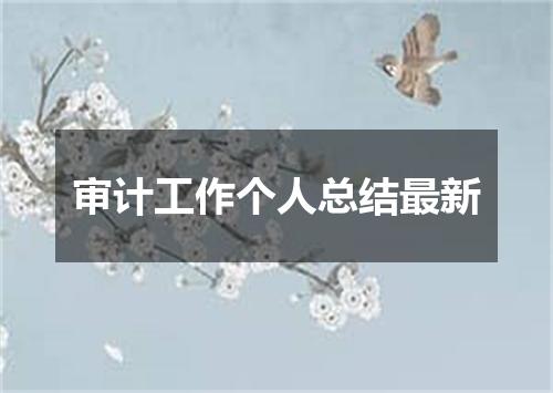 审计工作个人总结最新