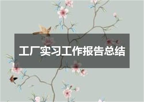 工厂实习工作报告总结