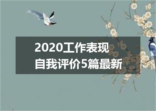 2020工作表现自我评价5篇最新