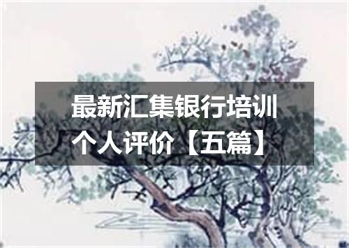 最新汇集银行培训个人评价【五篇】