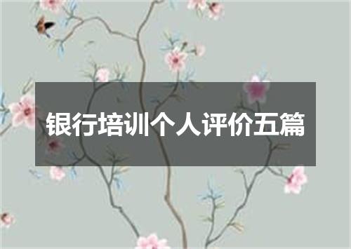 银行培训个人评价五篇