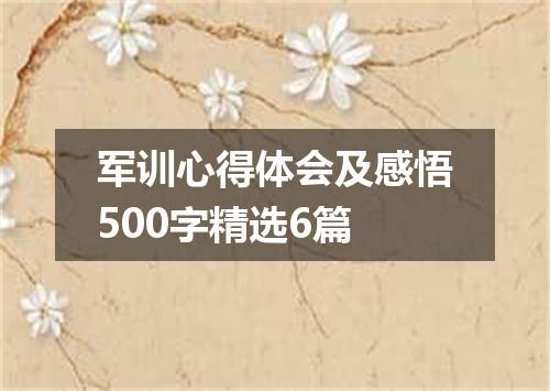 军训心得体会及感悟500字精选6篇