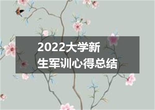 2022大学新生军训心得总结