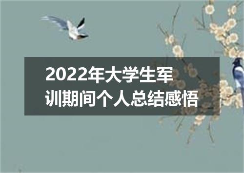 2022年大学生军训期间个人总结感悟
