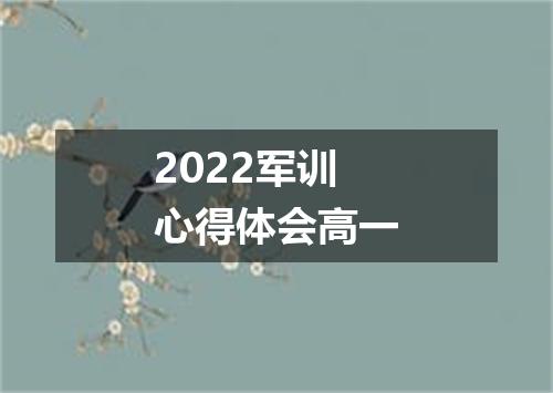 2022军训心得体会高一