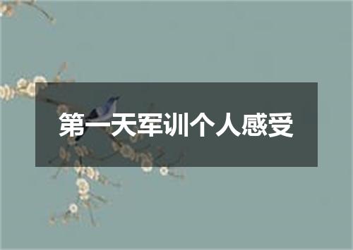 第一天军训个人感受