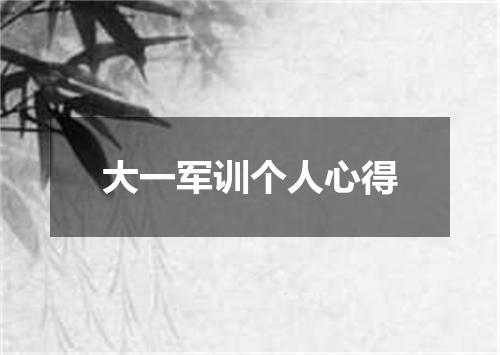 大一军训个人心得