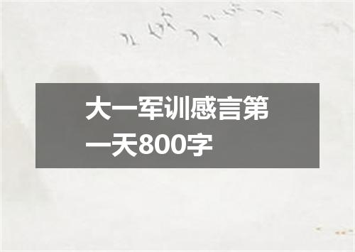 大一军训感言第一天800字