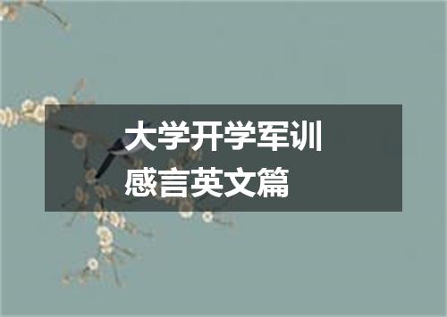 大学开学军训感言英文篇