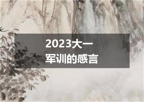 2023大一军训的感言