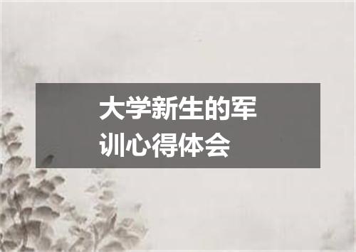 大学新生的军训心得体会