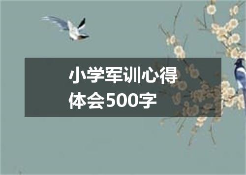 小学军训心得体会500字