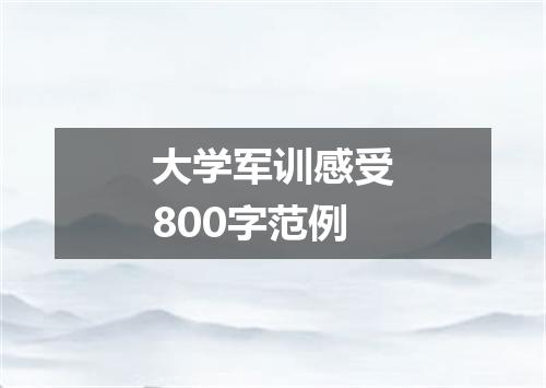 大学军训感受800字范例