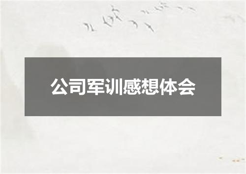 公司军训感想体会