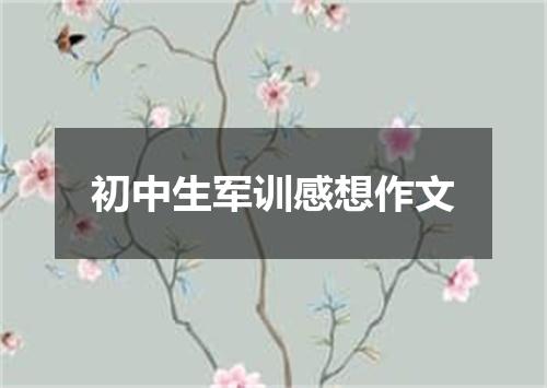 初中生军训感想作文