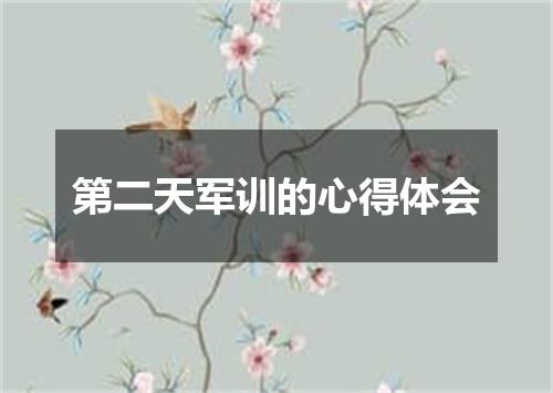 第二天军训的心得体会