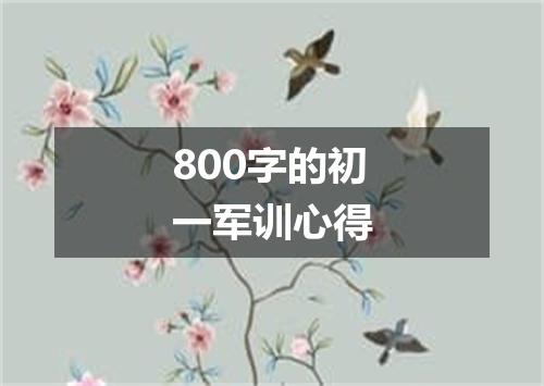 800字的初一军训心得