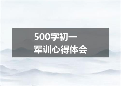 500字初一军训心得体会