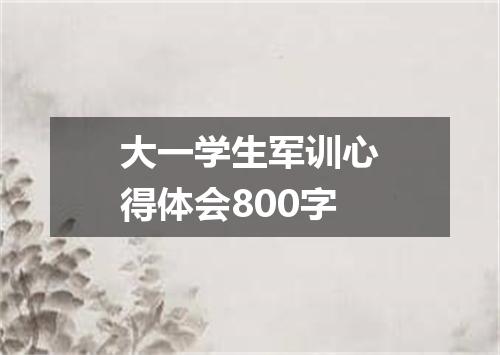 大一学生军训心得体会800字