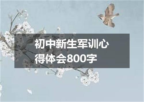 初中新生军训心得体会800字