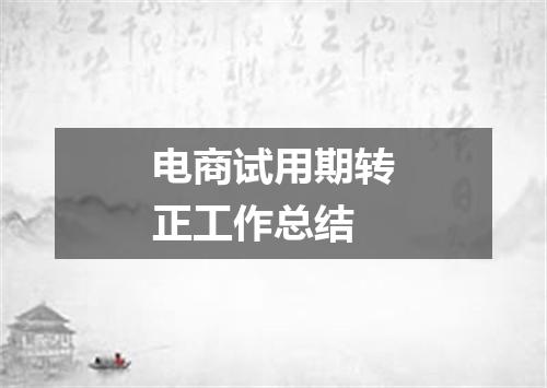 电商试用期转正工作总结