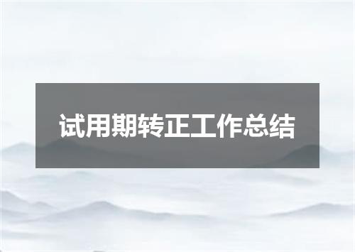试用期转正工作总结