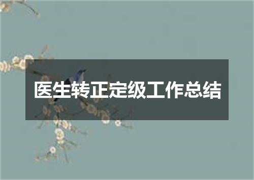 医生转正定级工作总结