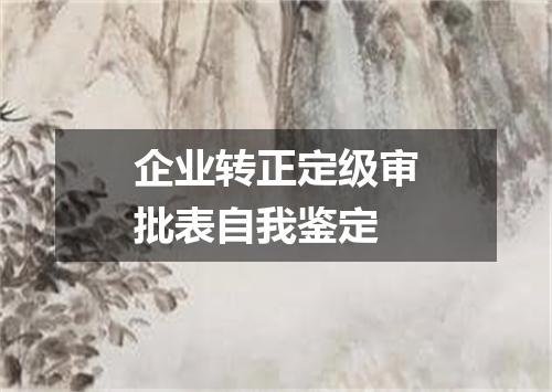 企业转正定级审批表自我鉴定
