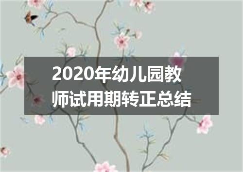 2020年幼儿园教师试用期转正总结